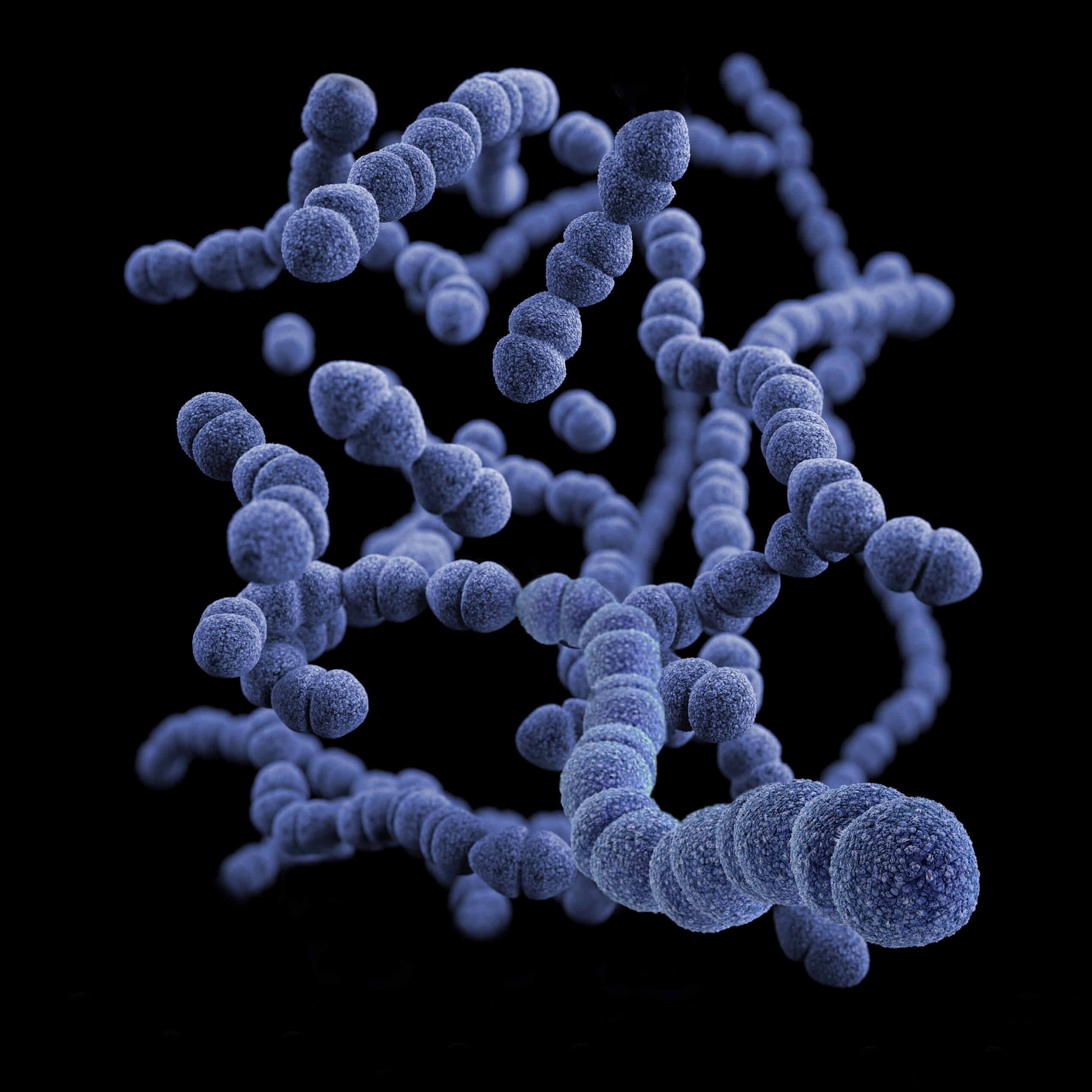 Helicobacter-pylori-Infektion